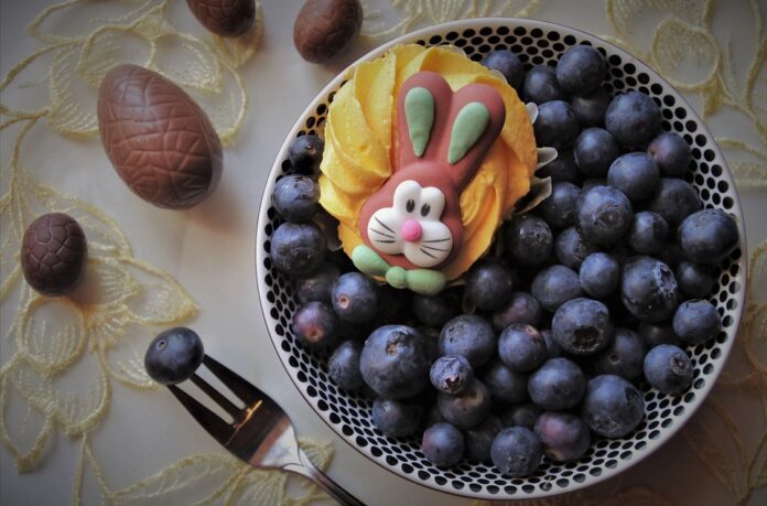Top 10 rabbit food brands globally in 2025