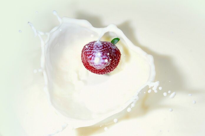 Top 10 rice yogurt import companies in South Korea
