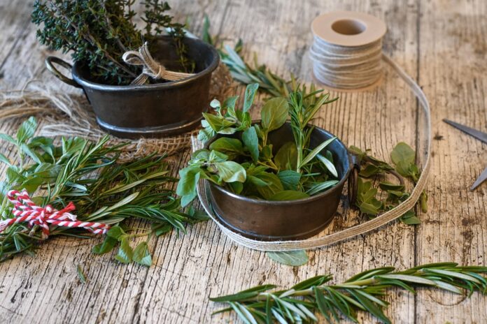 Top 10 rosemary brands in Tunisia