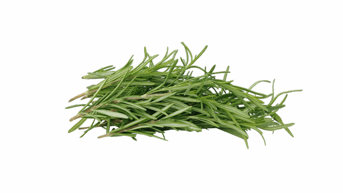 Top 10 rosemary export companies in France