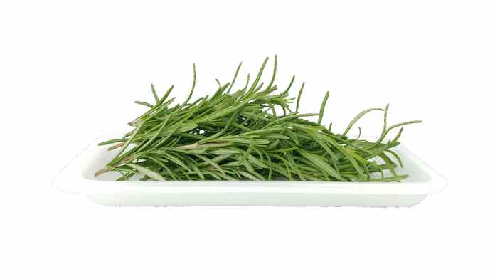 Top 10 rosemary import companies in Canada