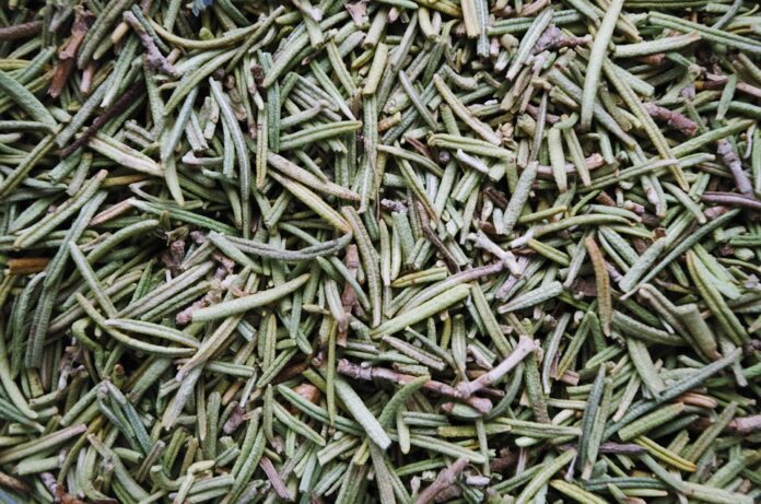 Top 10 rosemary import companies in the United Kingdom