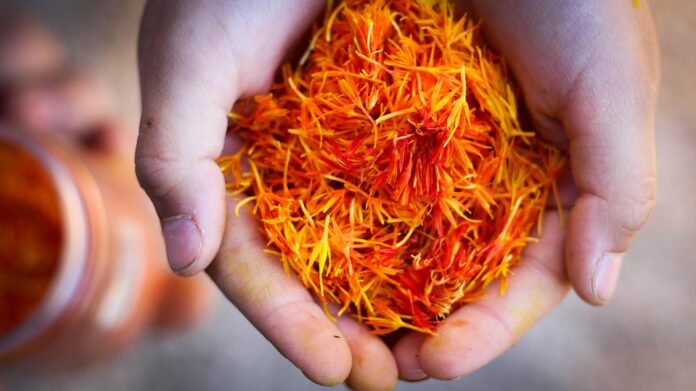 Top 10 saffron producing countries in the world in 2025