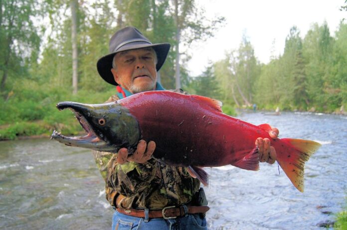 Top 10 salmon export companies in New Zealand