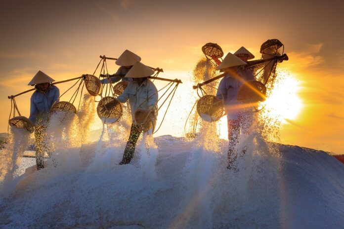 Top 10 salt pork brands in China