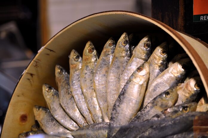 Top 10 sardines brands in Portugal