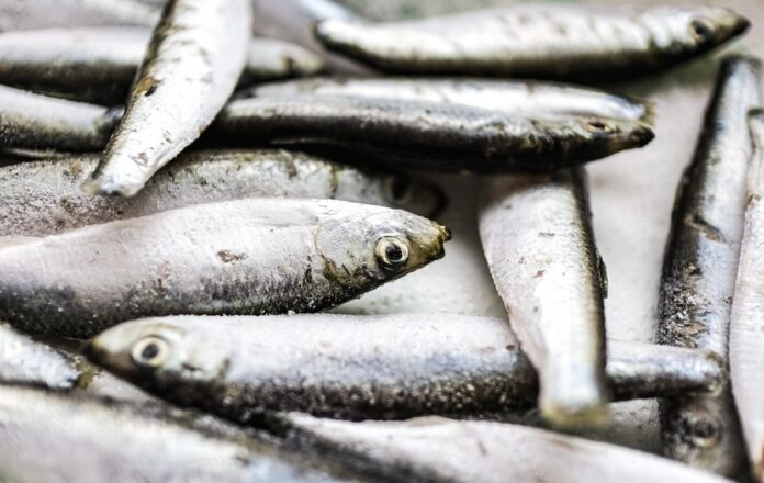 Top 10 sardines brands in Spain