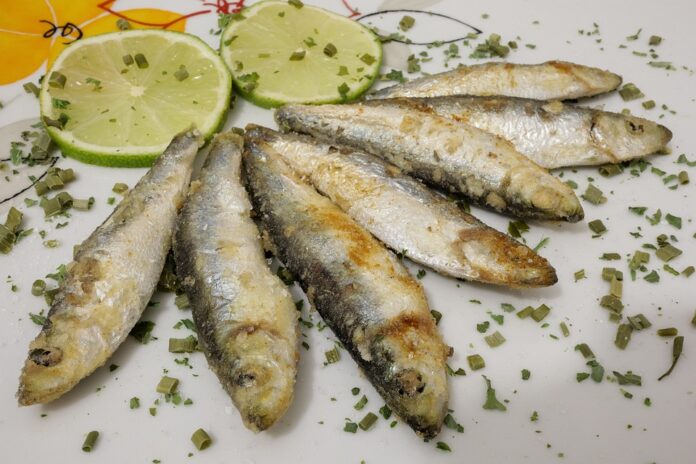 Top 10 sardines export companies in Indonesia
