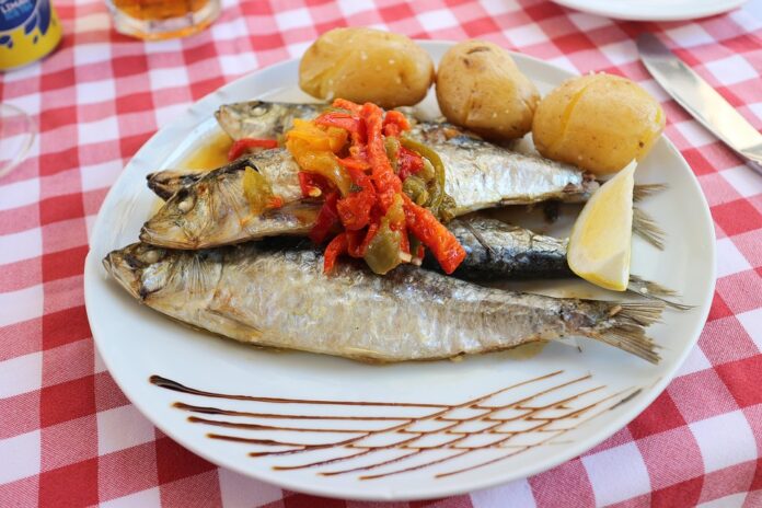 Top 10 sardines export companies in Morocco
