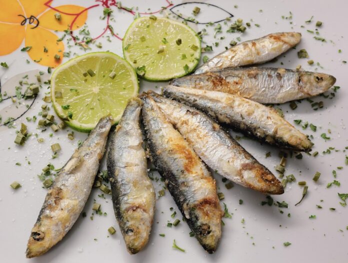 Top 10 sardines export companies in Portugal