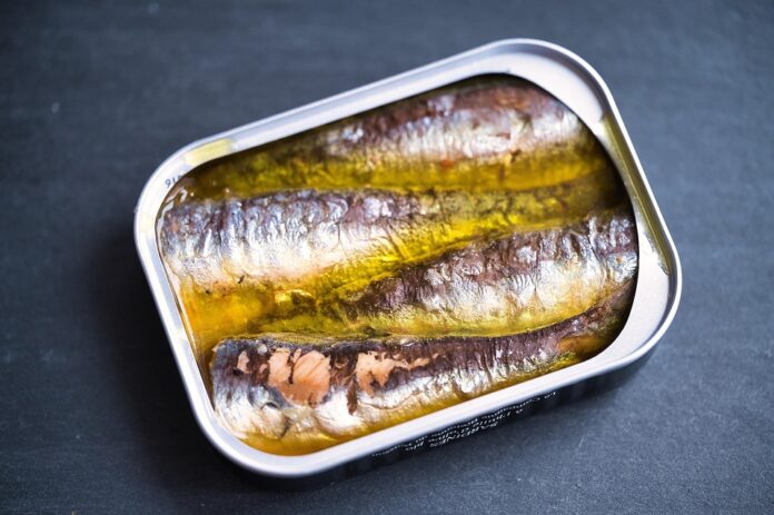 Top 10 sardines export companies in Spain