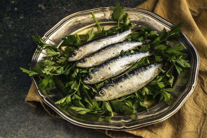 Top 10 sardines export companies in Tunisia