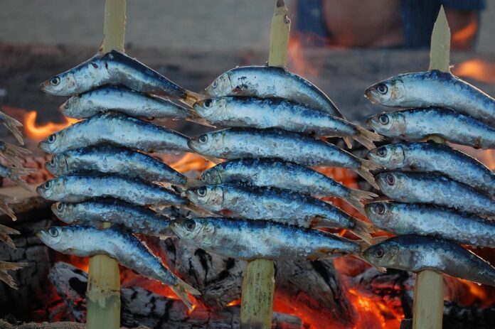 Top 10 sardines import companies in Germany