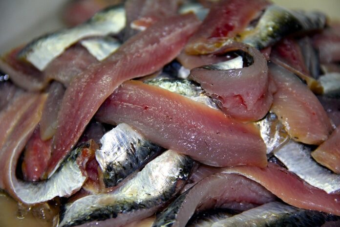 Top 10 sardines importing countries in the world in 2025