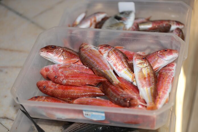Top 10 seabass import companies in Saudi Arabia
