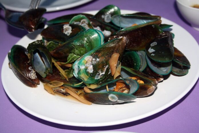 Top 10 shellfish stock brands exported worldwide