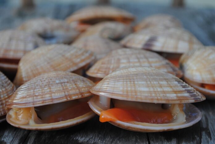 Top 10 shellfish stock export companies in Canada