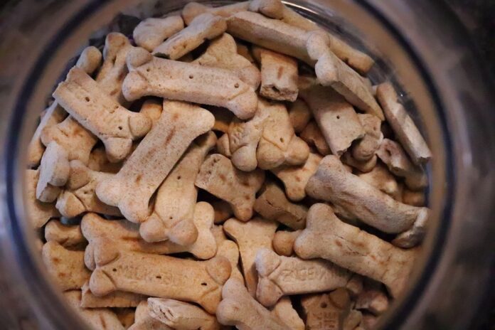 Top 10 small animal food exporters globally in 2025