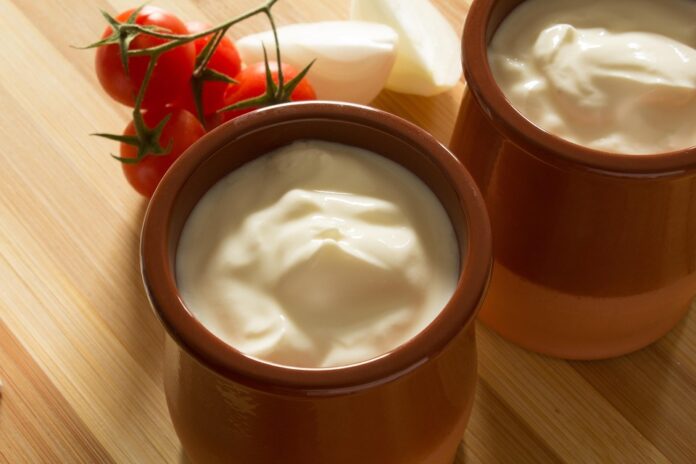 Top 10 sour cream brands in New Zealand
