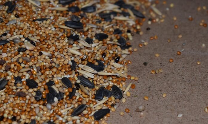 Top 10 sunflower seed brands in Germany