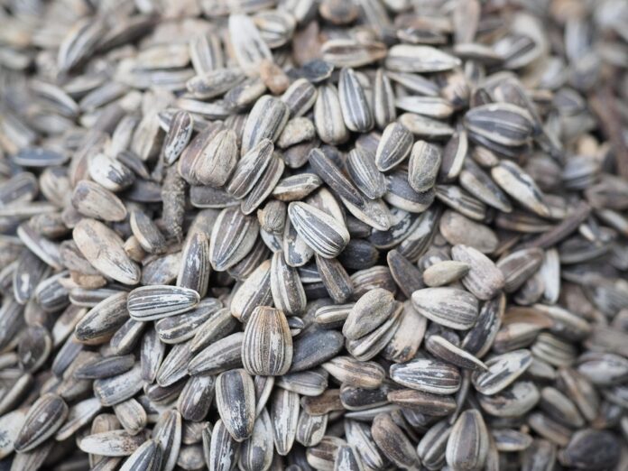 Top 10 sunflower seed export companies in Hungary