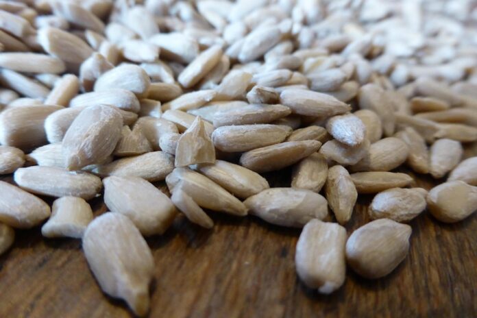 Top 10 sunflower seed export companies in Russia
