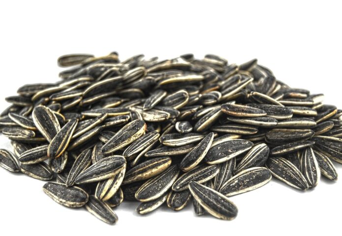 Top 10 sunflower seed producing countries in the world in 2025