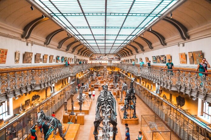 Top 10 sustainable bones producers globally