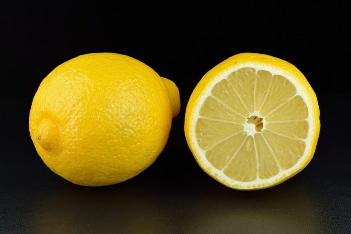 Top 10 sustainable lemon-lime manufacturers globally