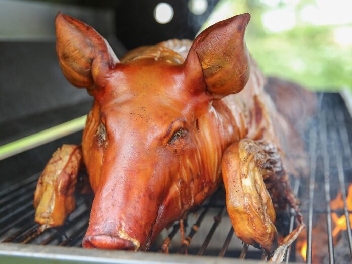 Top 10 sustainable pig food producers globally