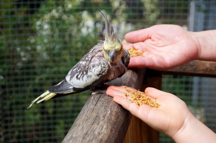 Top 10 sustainable prescription pet food producers globally