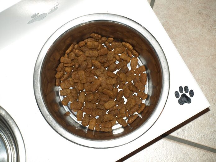 Top 10 sustainable wet pet food producers globally