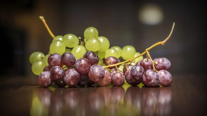 Top 10 sweet wine brands imported in Asia