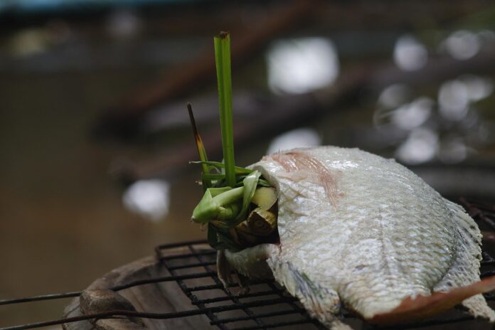 Top 10 tilapia export companies in Thailand