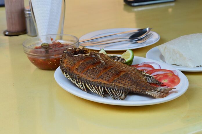 Top 10 tilapia import companies in Spain