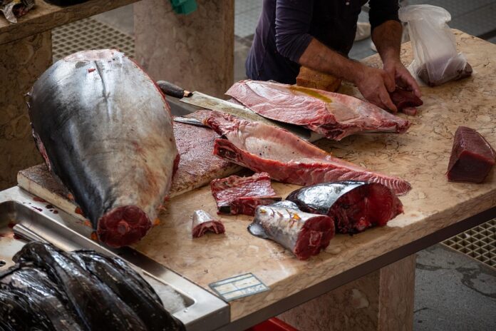 Top 10 tuna import companies in Italy