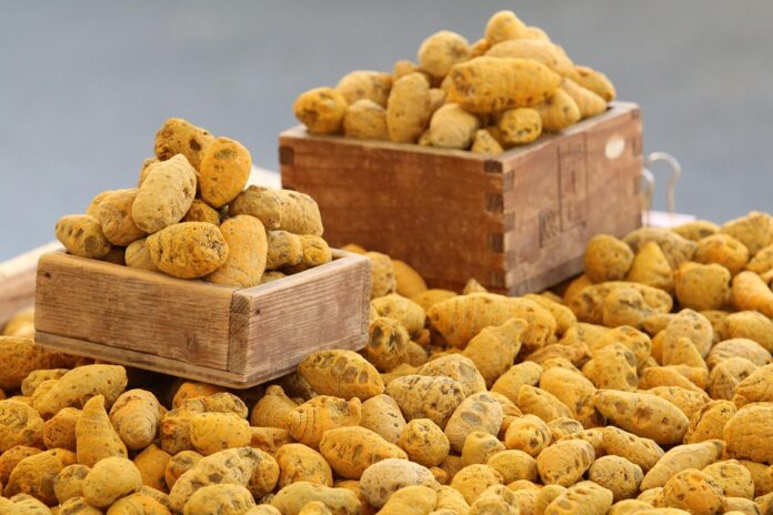 Top 10 turmeric leaf brands in China