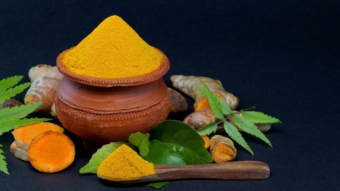 Top 10 turmeric leaf export companies in Myanmar
