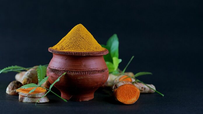 Top 10 turmeric leaf export companies in Nepal