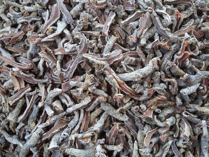 Top 10 turmeric leaf import companies in the Netherlands