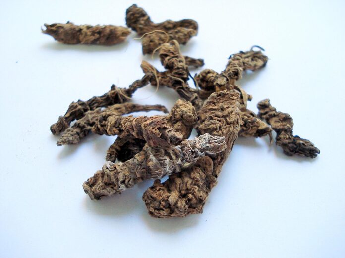 Top 10 valerian root import companies in Mexico