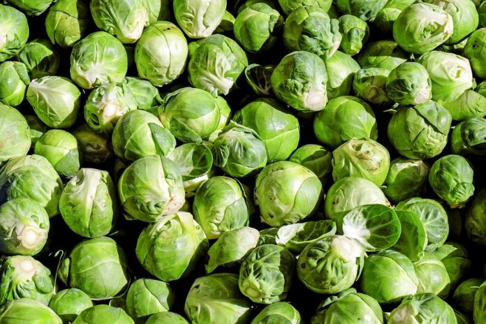 Top 10 vegetable stock import companies in the United Kingdom
