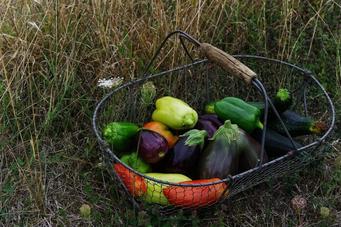 Top 10 vegetable stock importing countries in the world in 2025