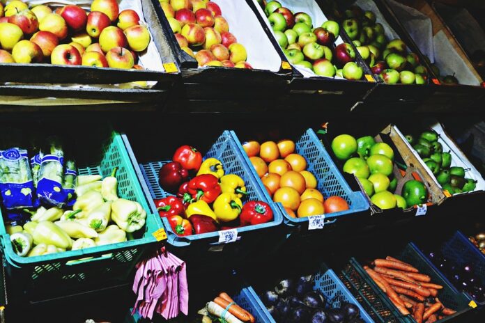 Top 10 warehouse grocery clubs in Germany by market share
