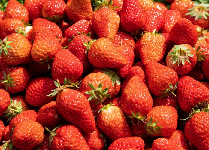 Top 10 yogurt packaging importing countries in 2025