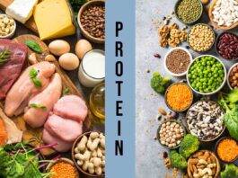 Global Protein Report