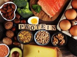 The Future of Global Protein Supply