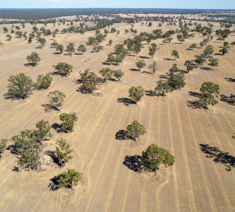 vic wimmera harrow rd awn