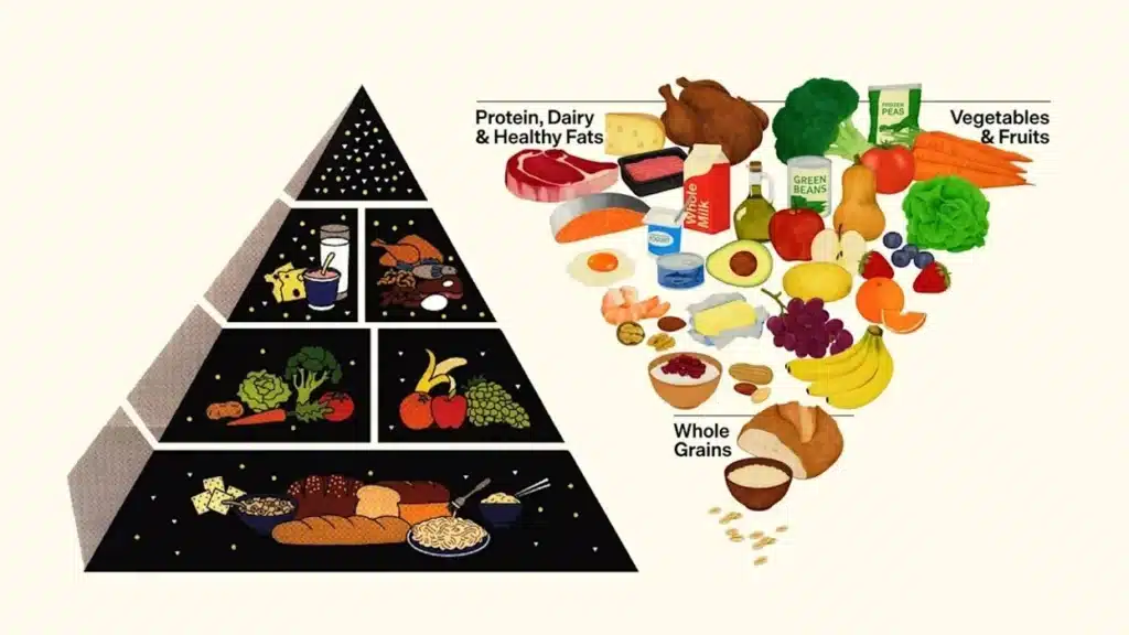 Old Food Pyramid vs New Food Pyramid