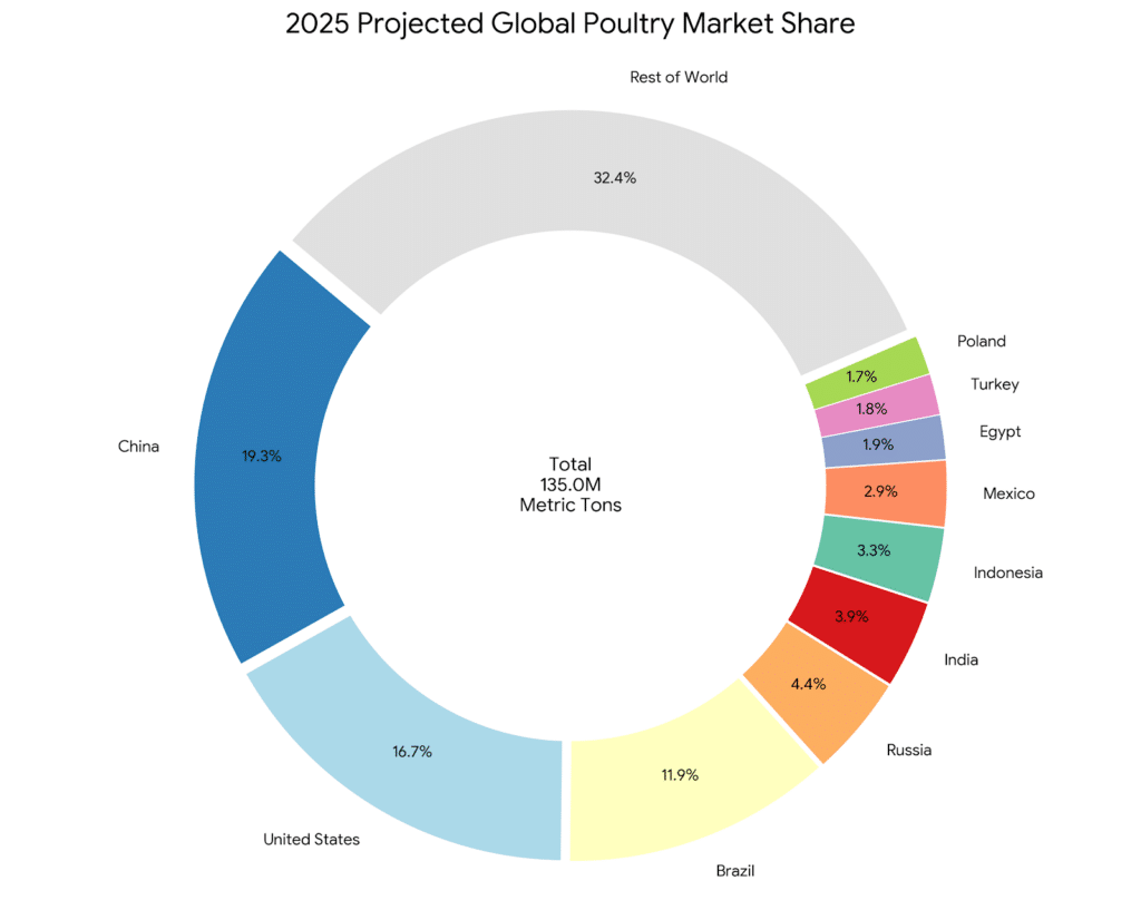 Donut chart showing the projected 2025 global poultry meat production market share. China (19.3%), USA (16.7%), and Brazil (11.9%) lead the market, with the top 10 countries accounting for the majority of the 135M metric ton total.